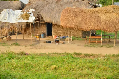 DSC_4340 (Large).JPG